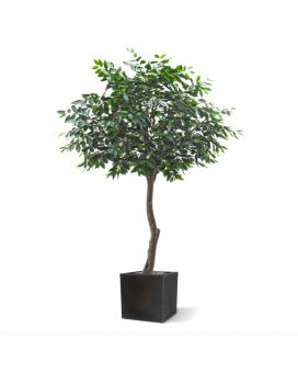 Coffee Arabica Giant kunstboom 320cm