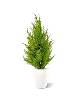 Conifeer kunstplant 45cm - geel/groen