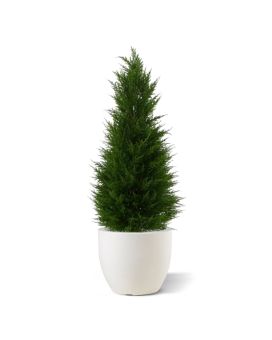 Conifeer deluxe kunstplant 100cm - UV bestendig