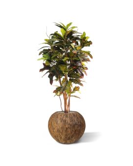 Croton deluxe kunstboom 130cm