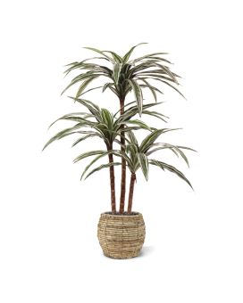 Draceana Deluxe kunstplant groen-bont 95cm