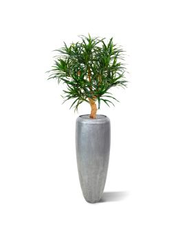 Draceana Reflexa Anita kunstplant 95cm