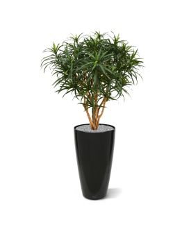 Draceana Reflexa Anita XL1kunstplant 120cm