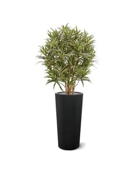 Draceana Reflexa kunstplant 100cm