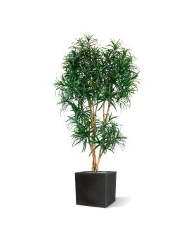 Draceana Reflexa XL kunstboom 190cm - groen