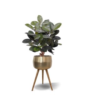 Elastica Robusta kunstplant 95cm groen