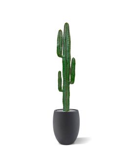 Euphorbia kunst Cactus 140cm