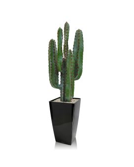 Euphorbia kunst Cactus 70cm