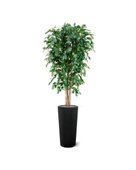 Ficus Exotica deluxe kunstboom 180cm - groen