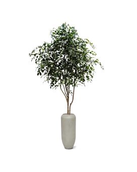 Ficus Exotica kunstboom 330cm