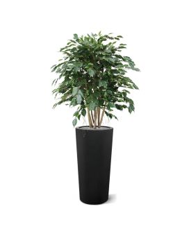 Ficus Exotica XL kunstplant 110cm