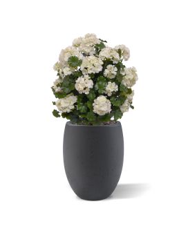 Geranium bol kunstplant 50cm UV Creme