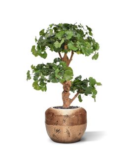 Ginkgo Bonsai deluxe kunstboom 95cm