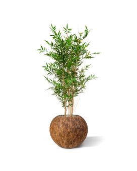 Japanse Bamboe kunstplant 120cm - UV bestendig