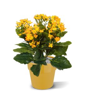 Kalanchoe kunstplant 30cm - oranje