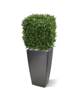 Kunst Buxus vierkant 30cm - UV bestendig