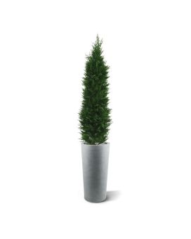 Kunst Conifeer deluxe 150cm - UV bestendig