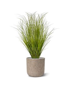 Kunst Grasplant Wide 60cm - groen