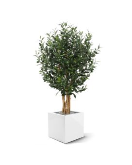 Kunst Olijfboom deluxe 120cm