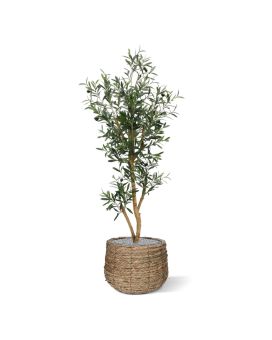 Kunst Olijfboom promo 120cm