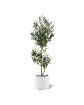 Kunst Olijfboom promo 180cm