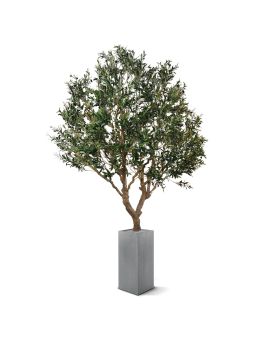 Kunst Olijfboom XL op plaat 300cm