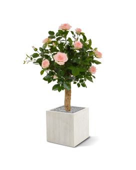 Kunstroos op stam 75cm - roze