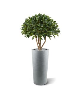 Laurier bal op stam kunstplant 70cm