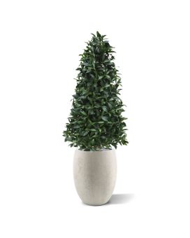 Laurier Pyramide deluxe kunstplant 150cm