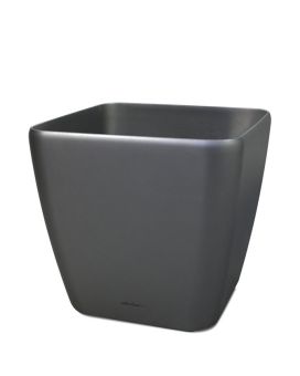 Lechuza Quadro sierpot 35x35x33 cm antraciet