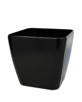 Lechuza Quadro sierpot 28x28x26 cm zwart