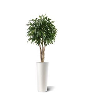 Longifolia ball deluxe kunstboom 180cm