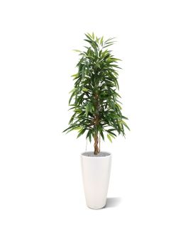 Longifolia Royal kunstboom 150cm