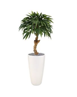 Longifolia Royal kunstboom op stam 90cm
