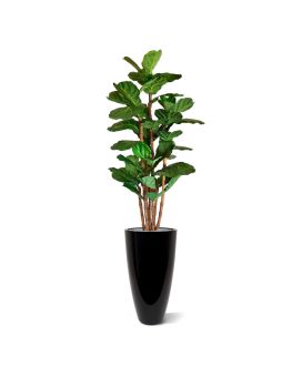 Lyrata deluxe kunstboom 165cm