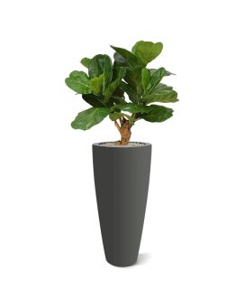 Lyrata deluxe kunstplant op stam 80cm