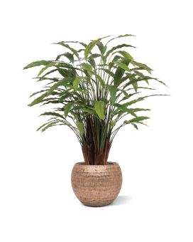Calathea kunstplant Deluxe 115cm groen