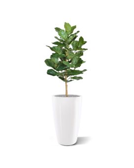 Lyrata Royal kunstplant 90cm