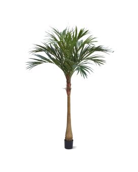 Majesty kunstpalm x10 YG-Trunk 225cm