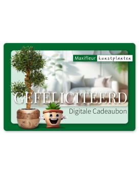 Digitale Cadeaubon Maxifleur - Gefeliciteerd