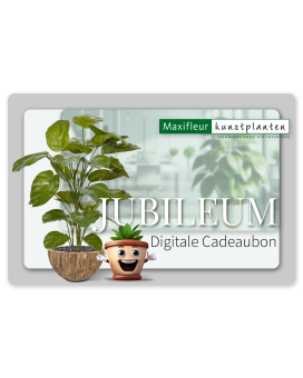 Digitale Cadeaubon Maxifleur - Jubileum