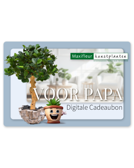 Digitale Cadeaubon Maxifleur - Voor papa