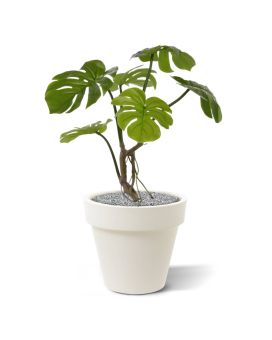 Monstera kunstplant 50cm