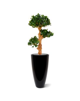 Panda Bonsai x3 kunstboom op voet 90cm