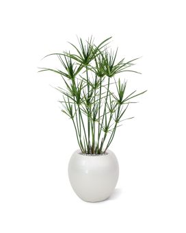 Papyrus kunstplant 65cm