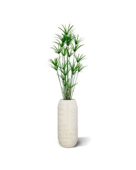 Papyrus deluxe kunstplant 175cm