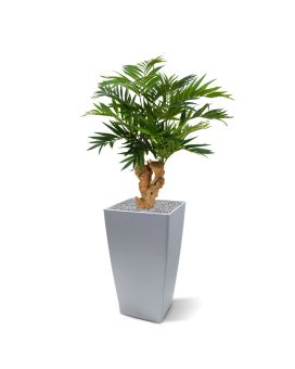 Parlour kunstpalm op voet 65cm