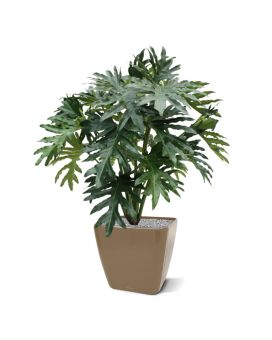 Philo Selloum kunstplant 100cm