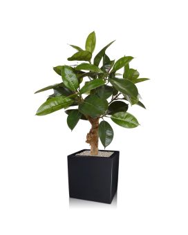 Philodendron op voet kunstplant 70cm