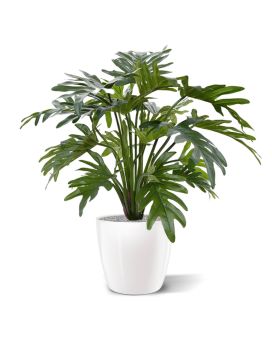 Philodendron Xanadu kunstplant 50cm